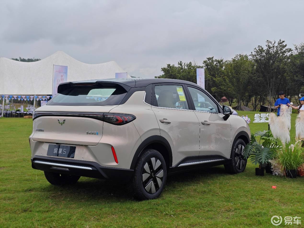 好看更实用 五菱缤果S上市,售价6.38万起