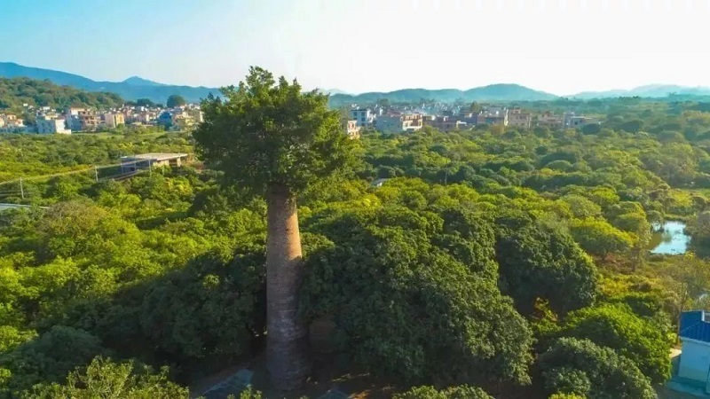 半日闲情,十分安心:沃尔沃XC70的环保与增江野趣之旅