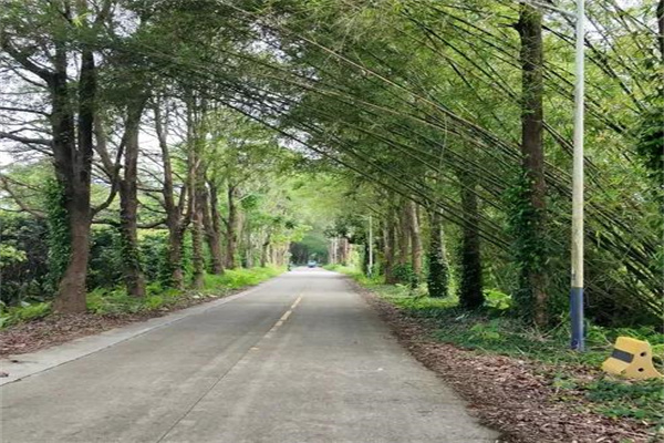 半日闲情,十分安心:沃尔沃XC70的环保与增江野趣之旅