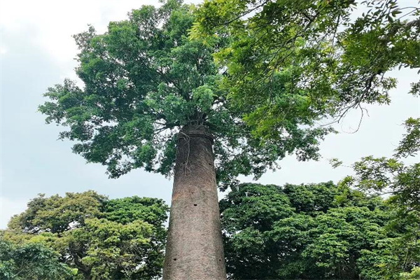 半日闲情,十分安心:沃尔沃XC70的环保与增江野趣之旅